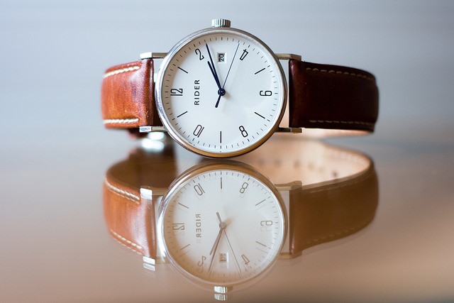 Guide d’achat : choisir sa boîte de rangement pour montres